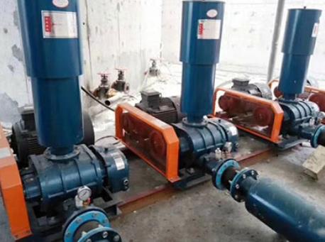 羅茨風(fēng)機(jī) 羅茨風(fēng)機(jī)