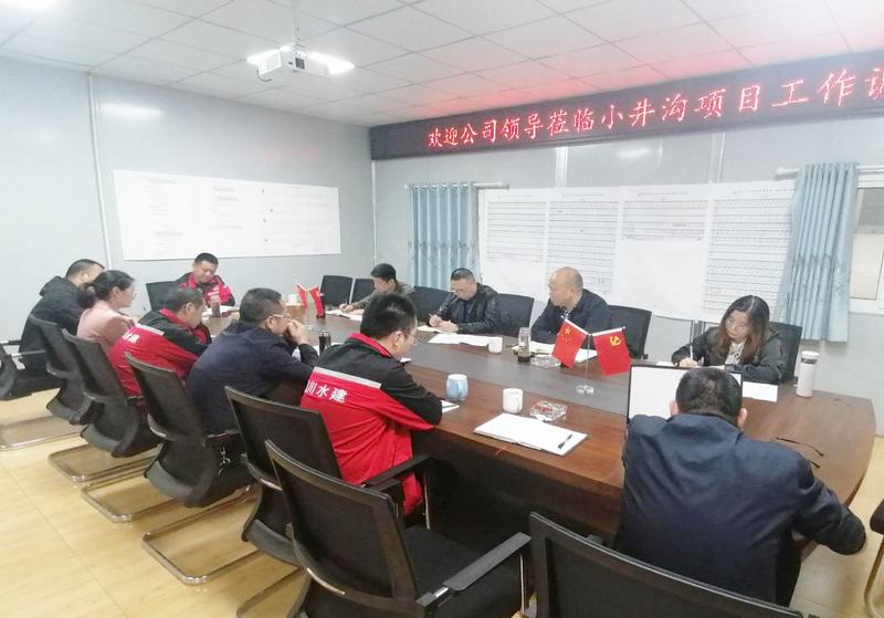 公司黨委書記、董事長代勇一行到小井溝支渠工程項目開展工作調(diào)研