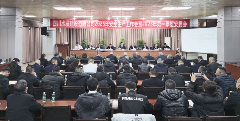 2025年安全生產(chǎn)工作會議暨2025年第一季度安全生產(chǎn)委員會會議召開